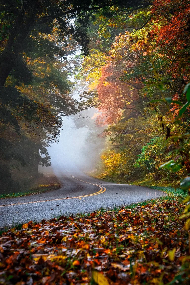 ITAP of road disappearing into the mist