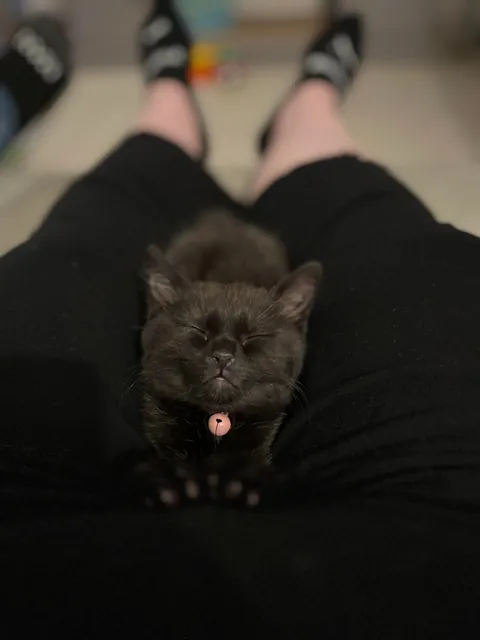 I love her so much 🥹🐈‍⬛