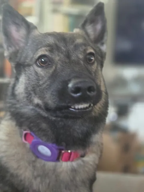 Shelob hopes you have a good weekend!