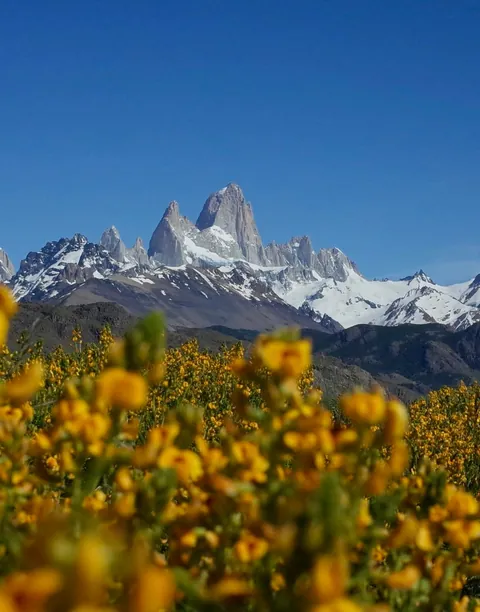 Patagonian region of Argentina 🇦🇷