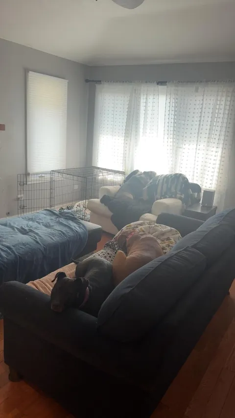 Last Waffles update for today. Cozy and calm after a big day.