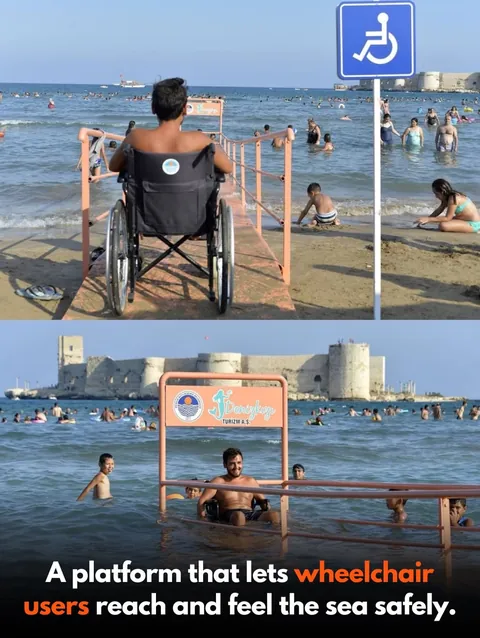 Design that puts People, Animals and Nature first.