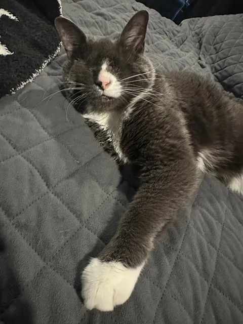 It’s Braille’s 9th Birthday!