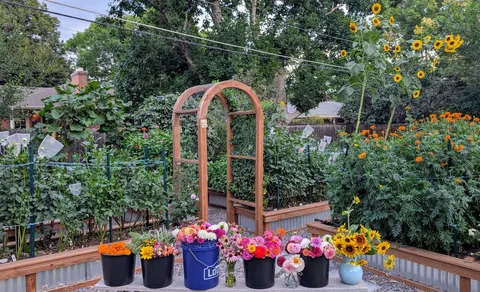 Three years ago I replaced my lawn with garden beds to cope with chronic illness and depression. What started as a hobby has grown into a small flower farm and a brighter chapter in my life.