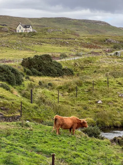 A week in the Scottish Highlands August/September 2025