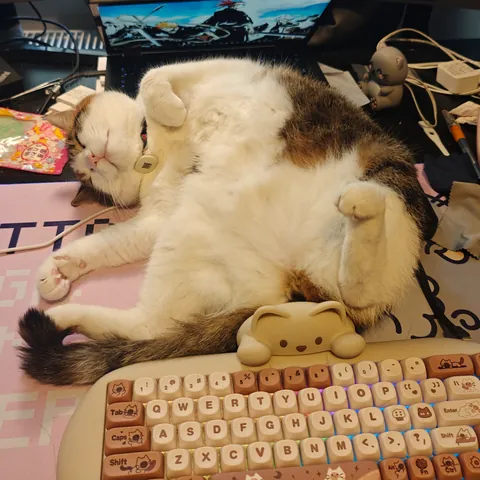 She works hard for the money