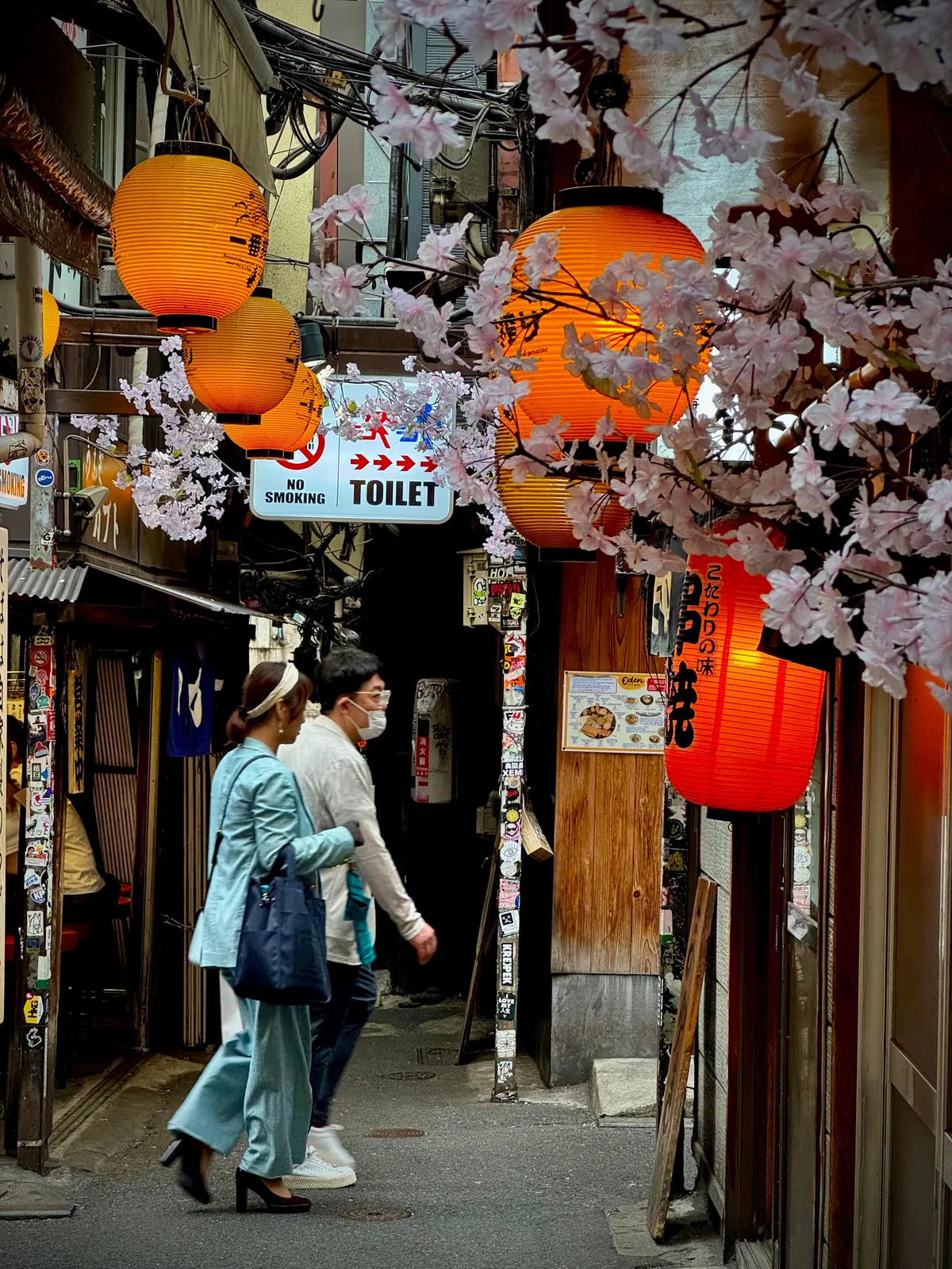 My thoughts after 2 weeks in Japan (Tokyo, Kyoto, Osaka)