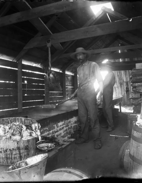 i have one final batch of dry plate negative scans to share