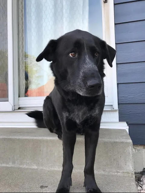 Same stairs, 10 years later. This time with all the color kissed off.