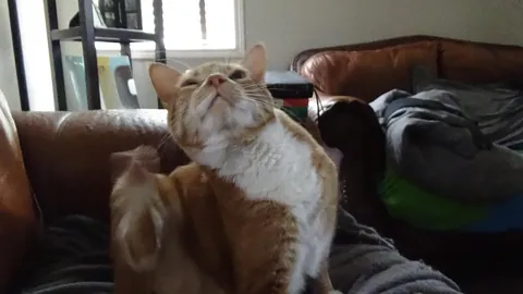 My buddy passed this morning.