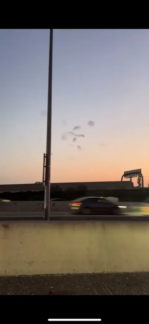 🔥 Beautiful bird murmuration beyond the busy of human life 🔥 🥇