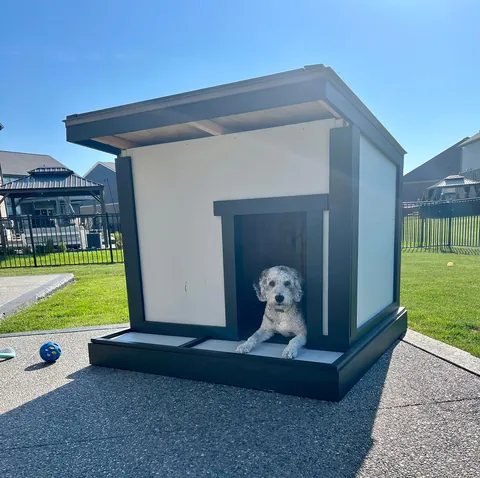 My wife is an ER nurse. If kids need an IV, she shows photos of our pup to calm them down. The 1st is their favorite