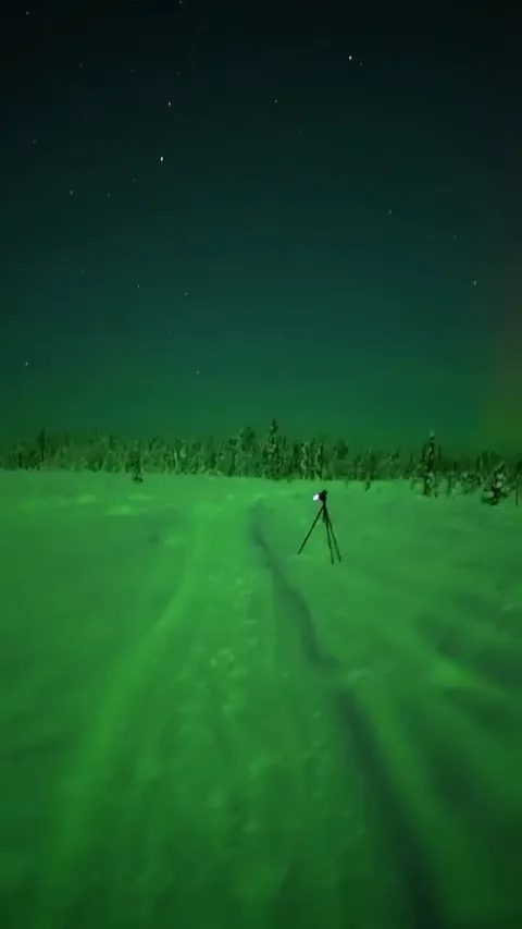 Aurora was so bright the ground turned green.
