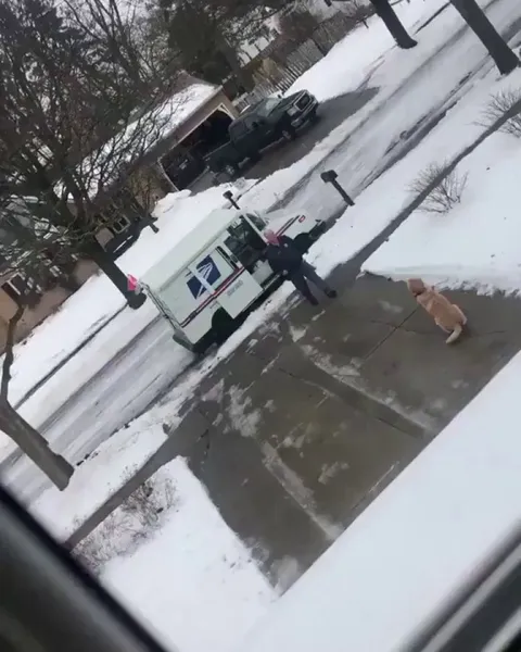 He waits all day for his buddy, the mailman