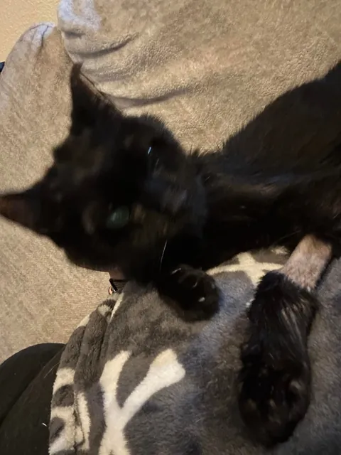 Heaven just got a little more BADASS!!