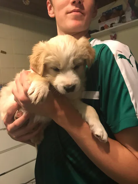 This is Luna, my soul dog🥰  From 1 week to 7.5 years old—she’s a sweet and complicated girl and I love her! ❤️