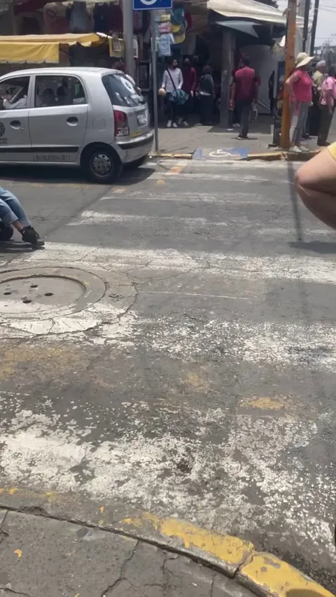 Dog push his owner who's on a wheelchair