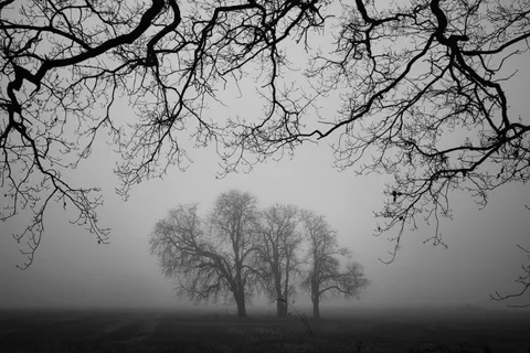 B&amp;W Minimalism Attempt