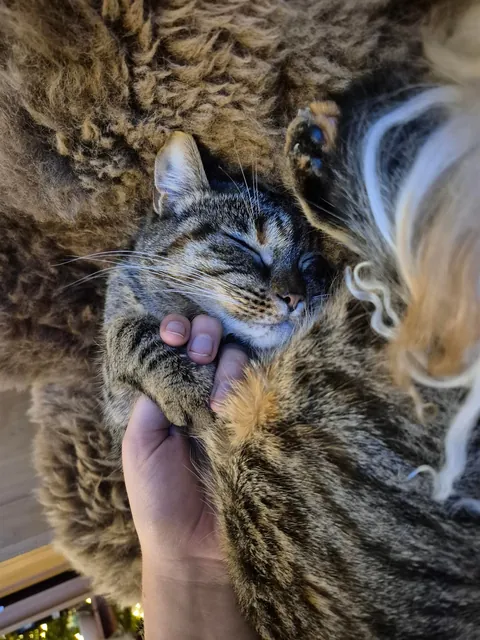 She wanted me to hold her hand while she was sleeping ❤️