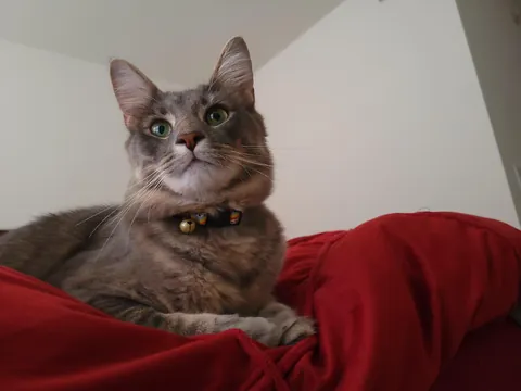 "You won't want to deal with it"