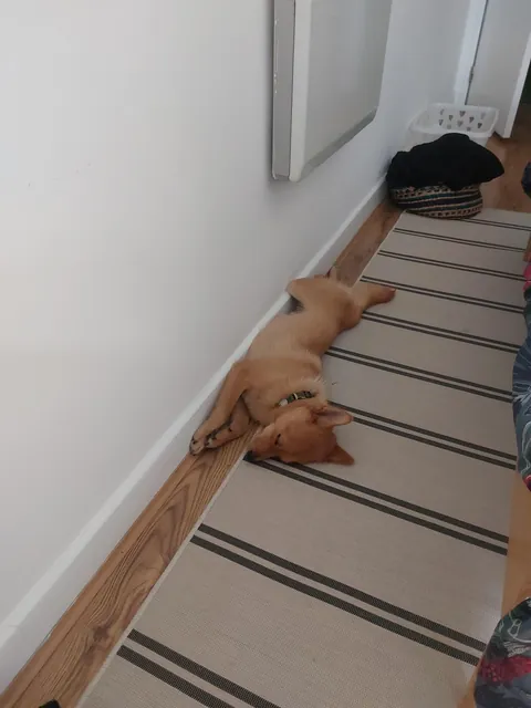 My bestest buddy Felix