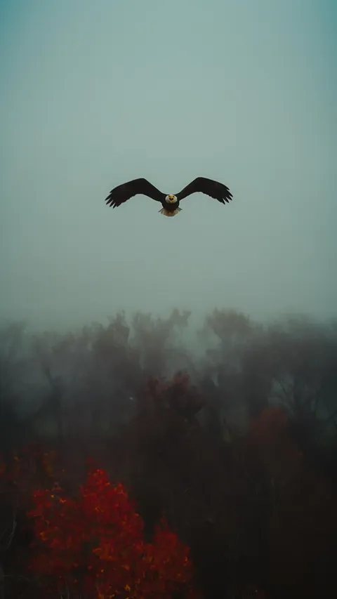 🔥 Incoming... When you have been waiting a long time for a straight shot using zoom....