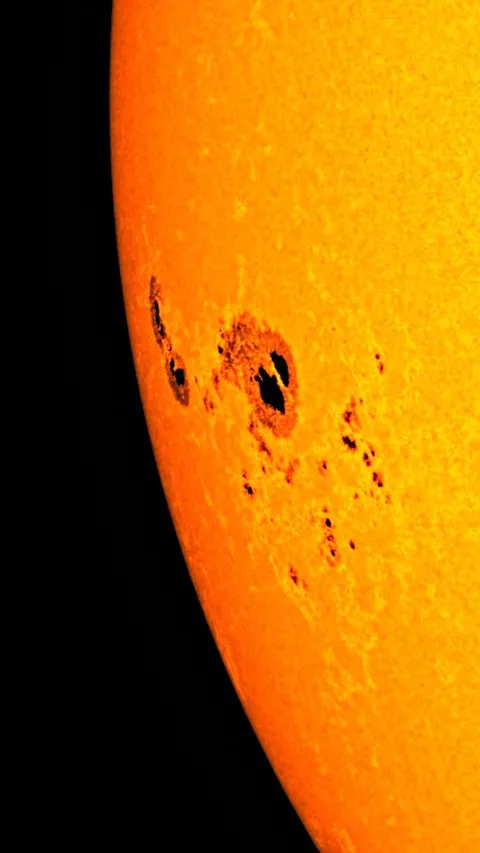 Growing Sunspots AR3780 (Credit: NASA/SDO)