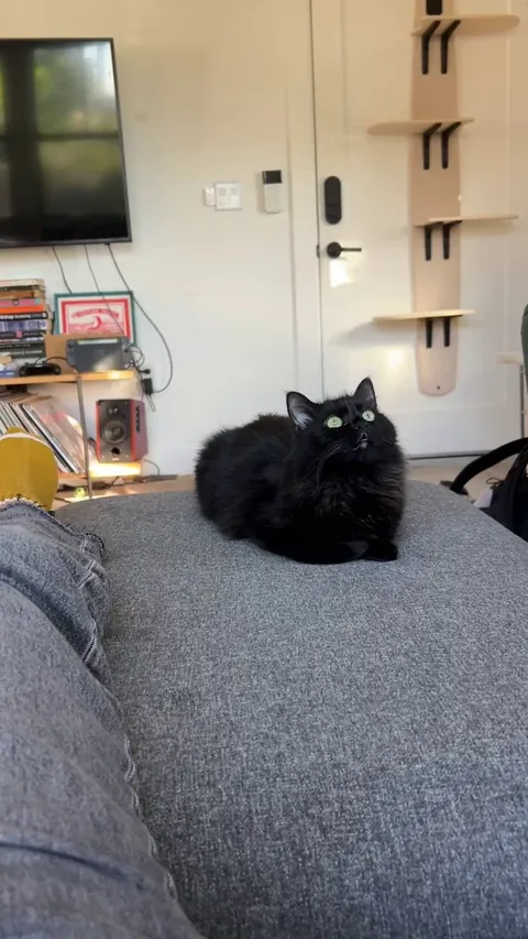 There was a bird outside