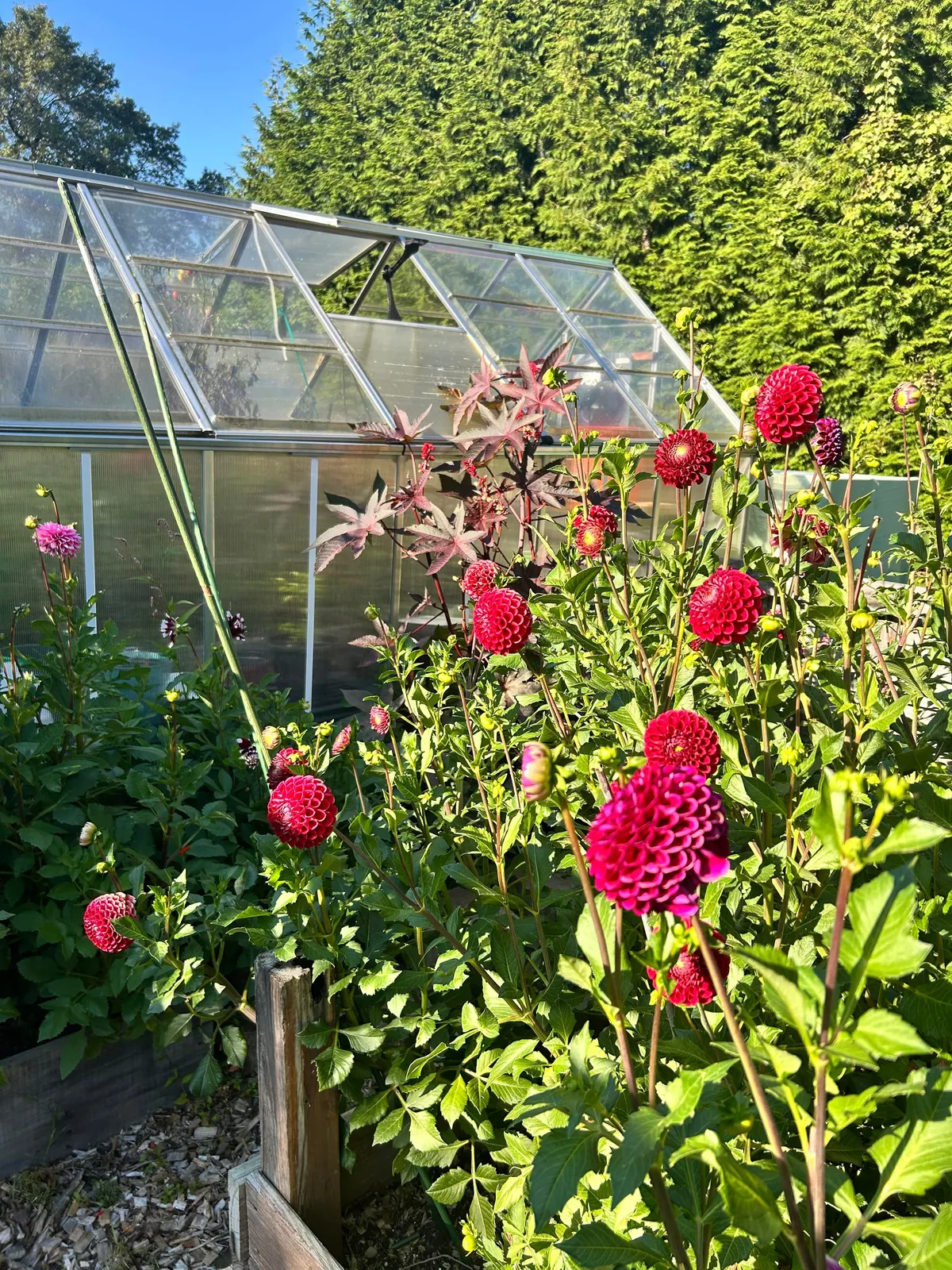 Reaping what I sowed as they say.