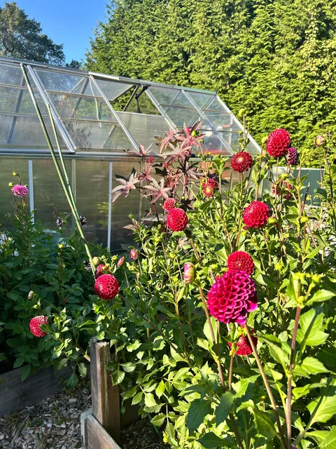 Reaping what I sowed as they say.