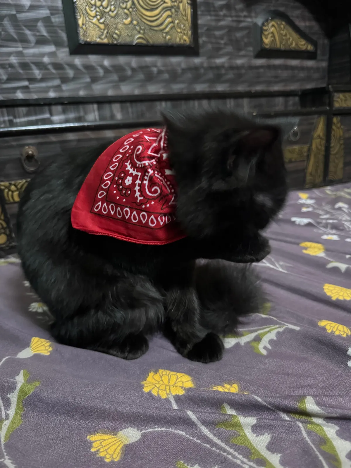 First Time Posting Him