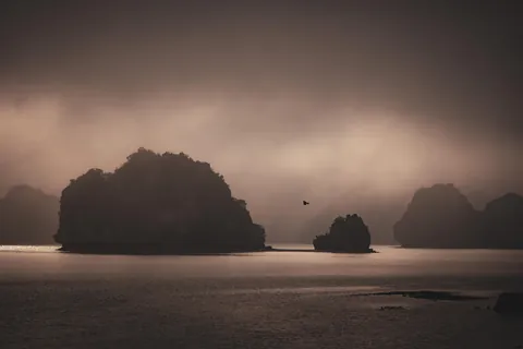 Vietnam February 2026