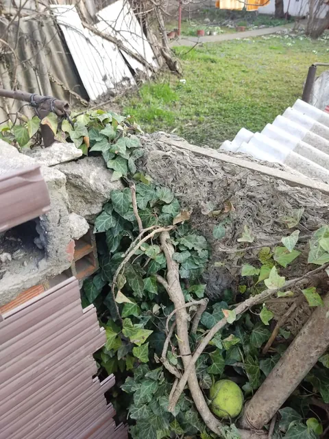 Just found out i have asbestos in my fence and my dog has been standing and scratching it for 2 years.