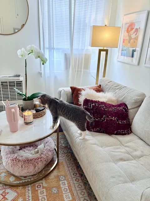 reposting my cozy sanctuary!