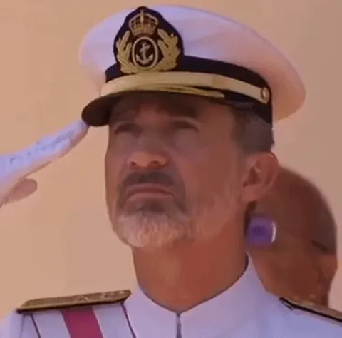 King of Spain disapproval