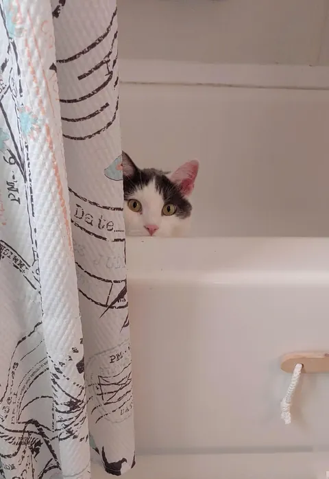 Weirdness expert level. I am being observed closely while on the commode.