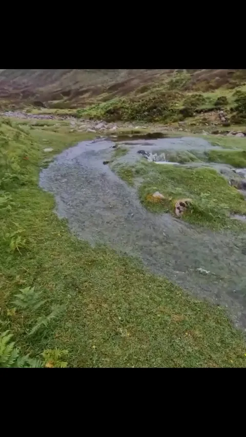 A newly formed natural spring bubbling up from the ground