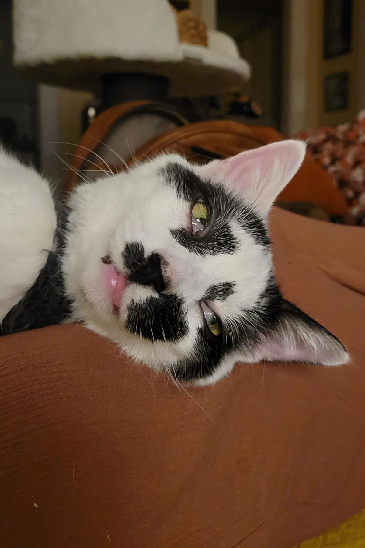 It looks like he was up until 4am getting lit with the homies