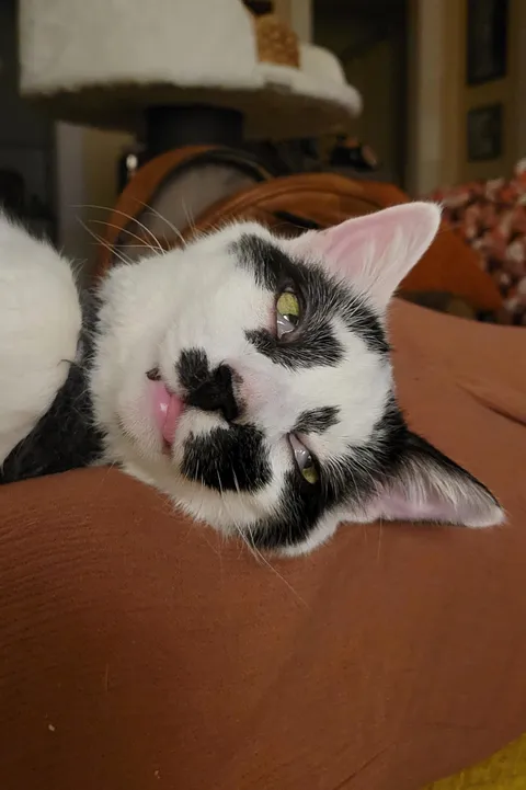 It looks like he was up until 4am getting lit with the homies