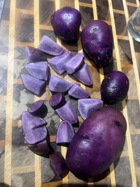 Very purple potato harvest