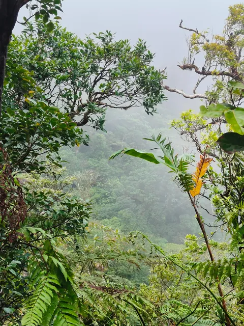 I spent a month travelling around Fiji 🇫🇯 and Australia 🇦🇺 (Sep - Oct 2025)