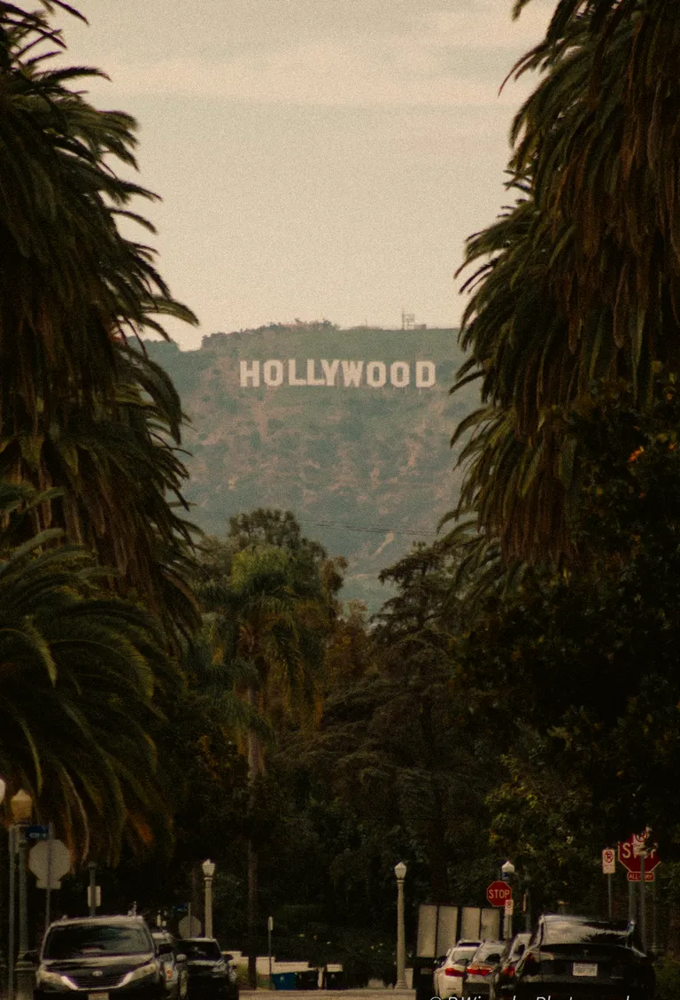 ITAP of the Hollywood sign