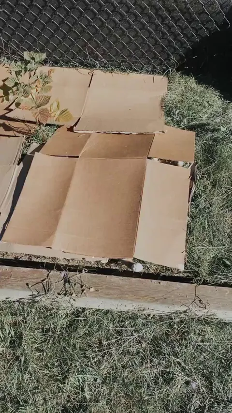 Caught my gardener sleeping on the job!