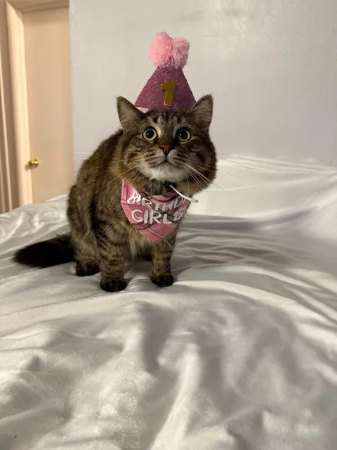 SAY HAPPY BIRTHDAY PLEASE