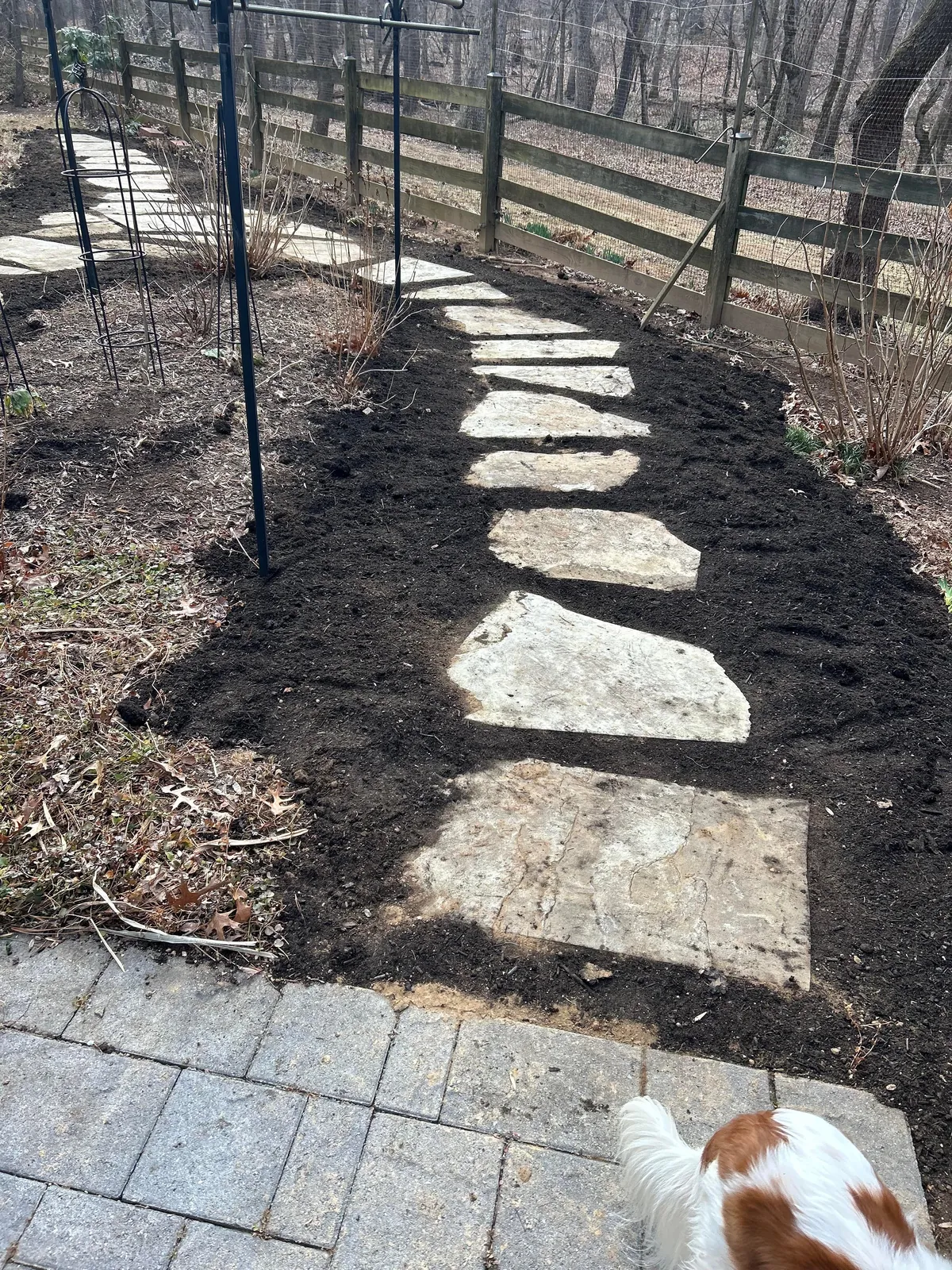 Progress March 3 to May 10