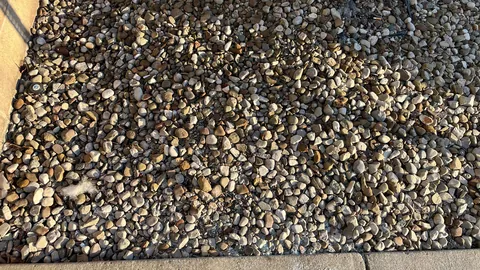 My turn for the weekly “lost my ear bud” post