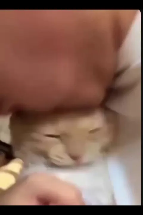 Proof that chaos has no limits.