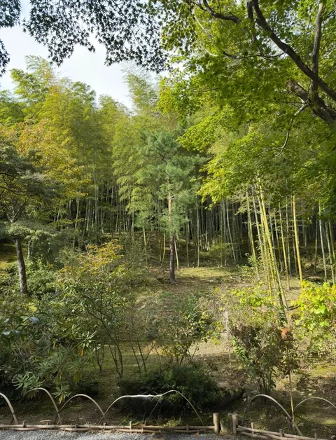 You don’t need 20,000 steps a day or every hyped-up restaurant to enjoy Japan