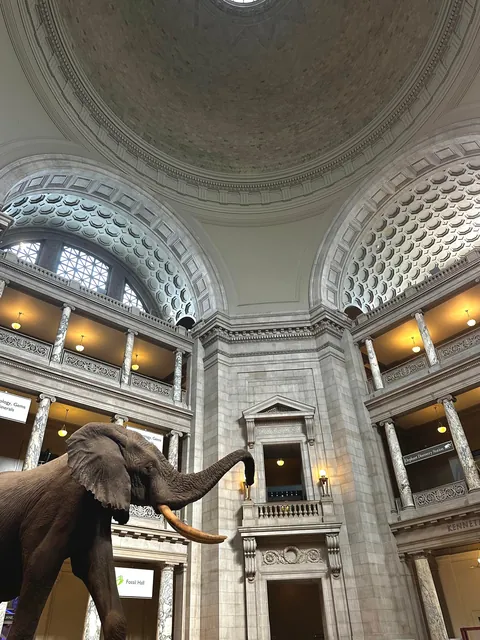 Ever had a trip you loved… but the people you went with hated it? That was my 2-week trip in Washington, DC.