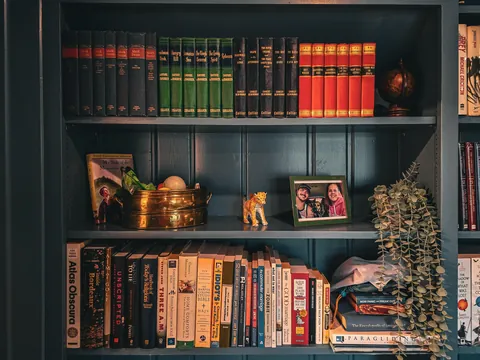 Our home library (+Living room built-ins)